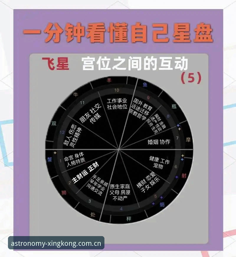 XINGKONG天体数据教程：避开这5个坑，效率翻倍